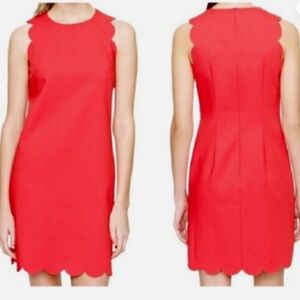 J. Crew Scalloped Edge Salmon Shift Sleeveless Dress, Size 8